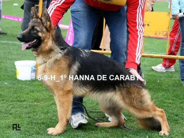 Hanna de Caraby