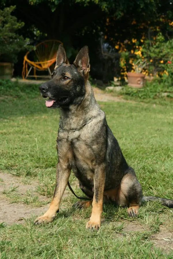 G Hade Del Valle De La Luna