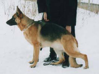 Aloiza