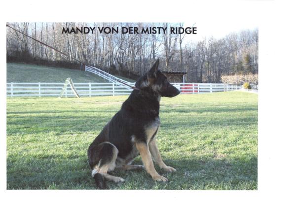 Mandy Von Der Misty Ridge