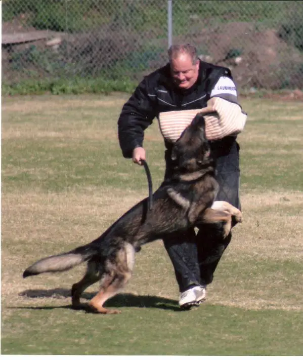 Blocko vom Knappenborn