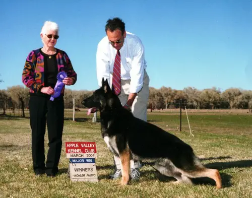 BOF Hidden Forest's I'm a Believer