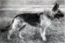 V Cieta vom Baruther Land