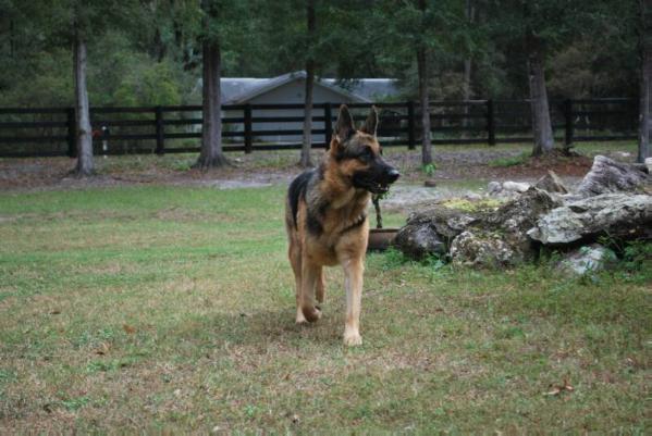Midnight Storm Von Sicher Hafen