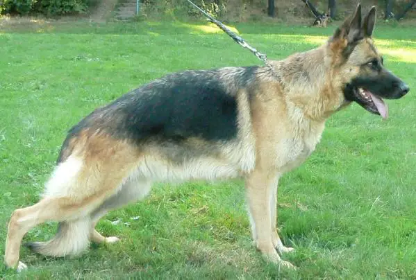 2X CAC, V5 Exa z Kadanského podhradí