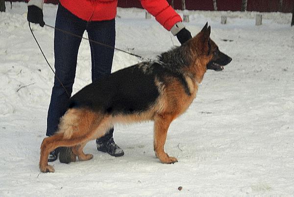 Quorlu vom Osterberger-Land
