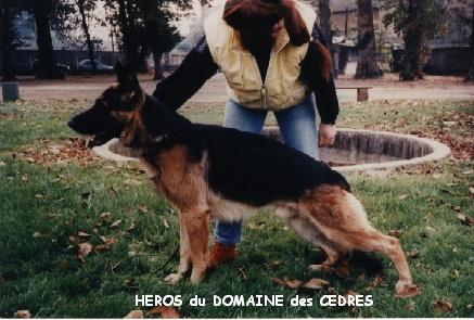 V(F) HEROS du Domaine des Cèdres