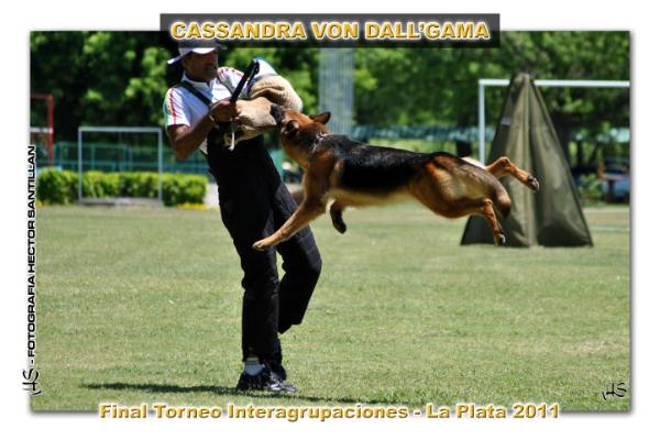 SG 15 - ARG.2011 Cassandra Von Dall'Gama