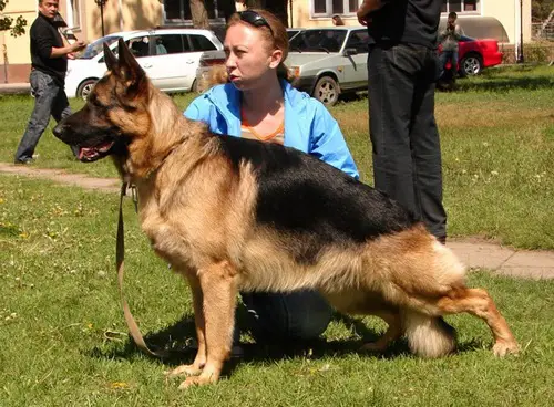 V,CH (RUS) Mein Stern Lider