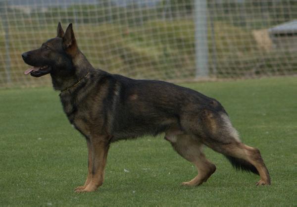 Bax von der Mamutsschlucht