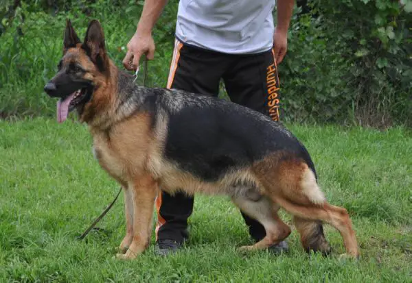 Cindy vom Yecheon Land