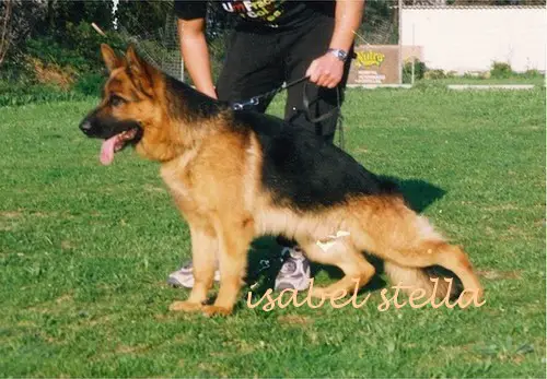 CH PT Artz de Vale do Cavado