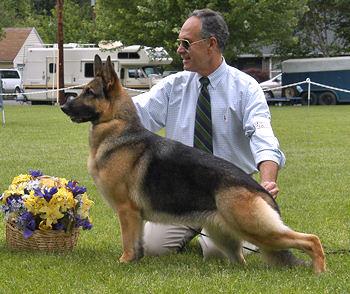 CH (US) Von Hamm Bedkars Shes All Mine