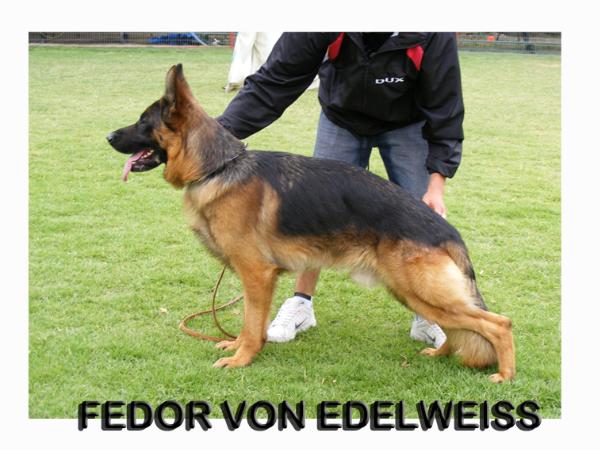 Fedor Von Edelweiss