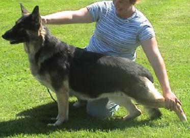 Treu's Say It Isn't Zo of Edan