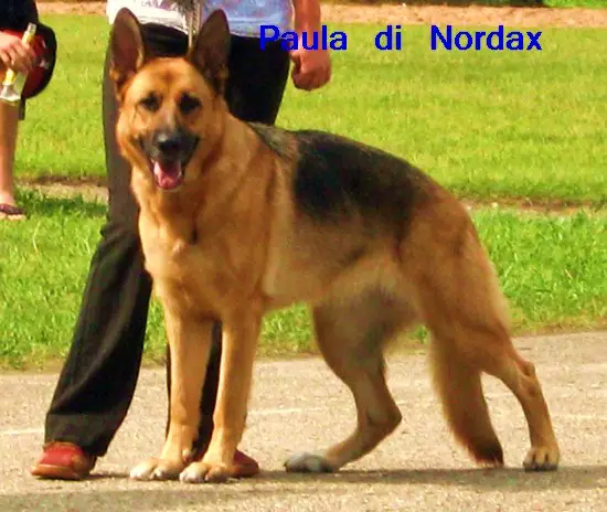 Paula di Nordax