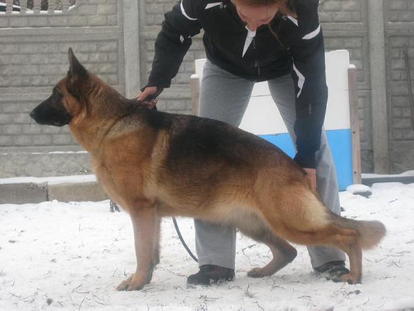 Tunja vom Fichtenschlag