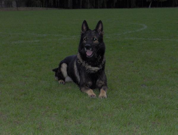 Hulk from Korinthiakos