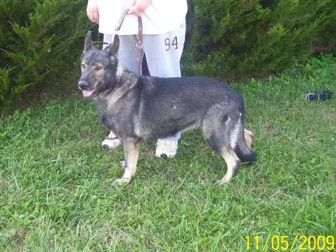 Jasmina Z Eurosportu