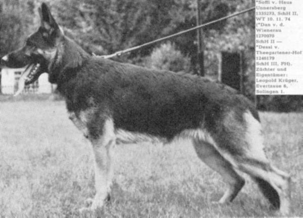 Soffi vom Haus Unnersberg