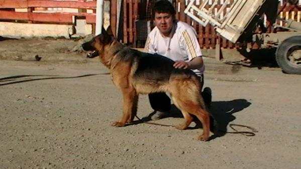 tari von del selk`nam