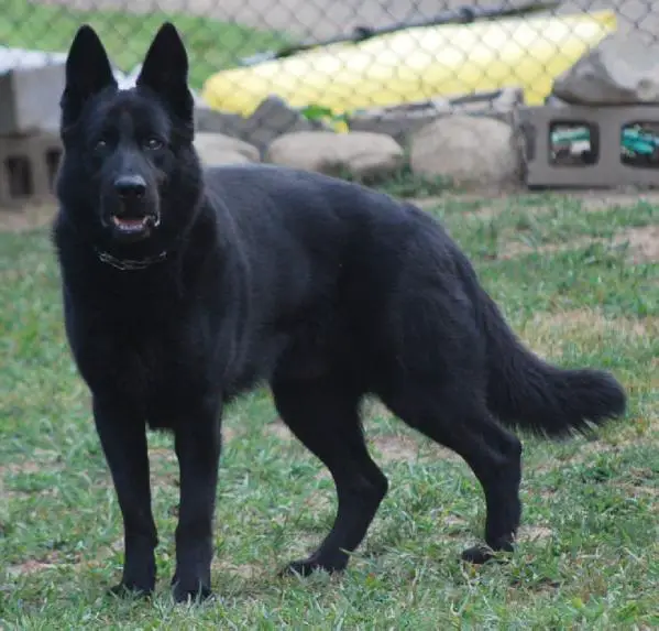Kane von Barren Berg