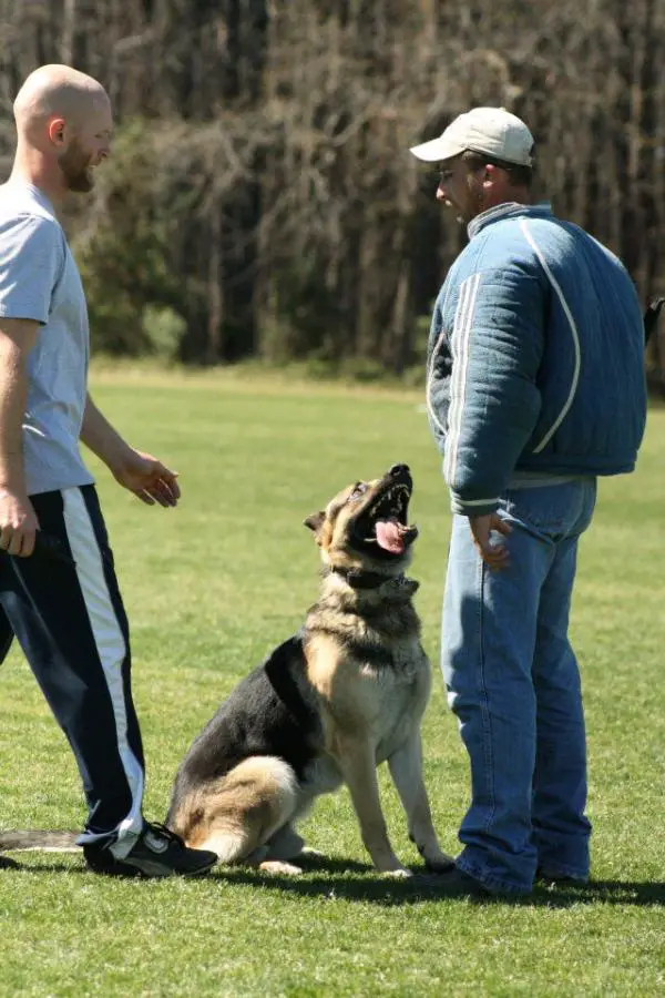 Warden vom haus Baysden