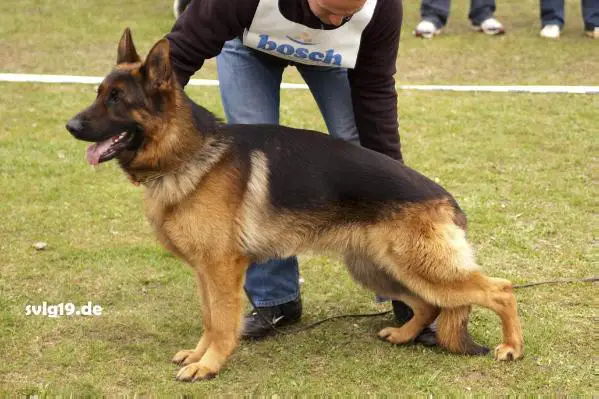 Ajax von M & M