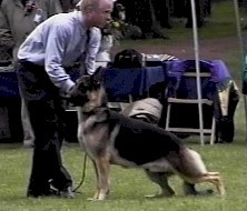 Rivendell's Wanderlust