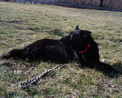 Babsy von der Lackiererei