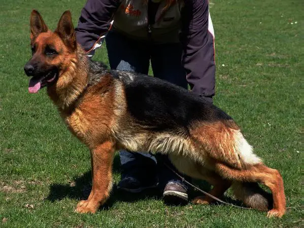 V Hexe von der oberen Kapelle