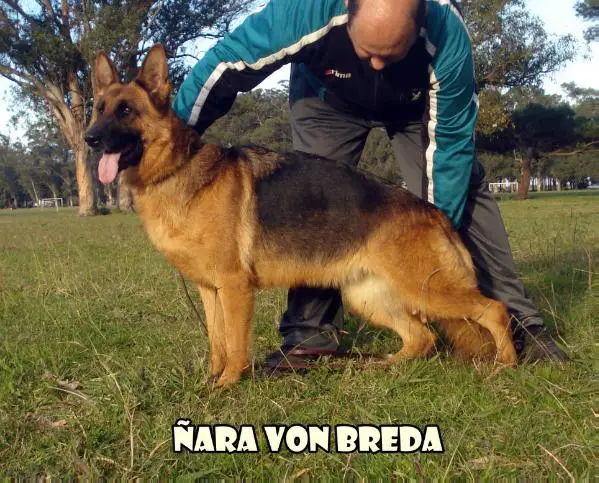 Ñara Von Breda