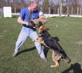 Rebelle du val des Hurles vent (2000)