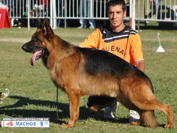 VA4 ARG 2012 Quenay de La Folgore