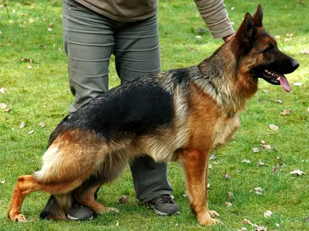 V Maja Von Der Weinbergsiedlung