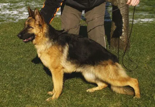 Quira Di Casa Massarelli