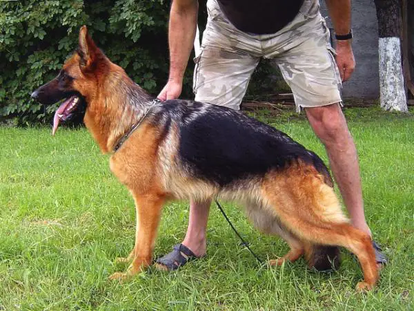 V Taly vom Haus Milesevac