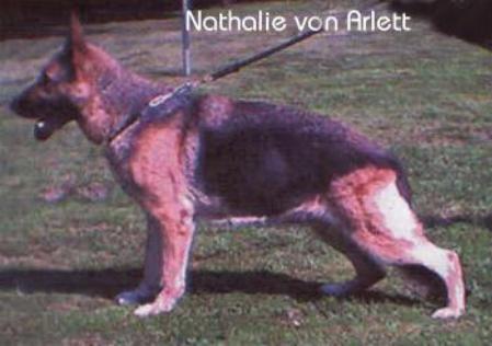 V Nathalie von Arlett