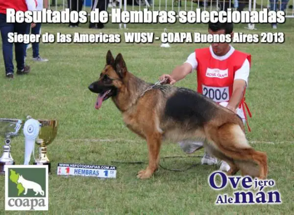 VA1 COAPA (AR) 2014 Yoko Aus Tafel Land