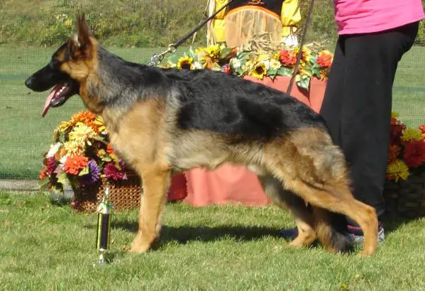 E-Frank von Bren Haus