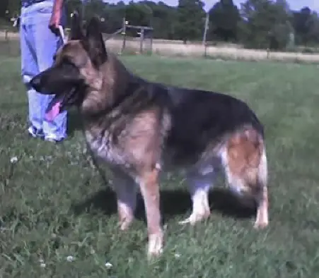 Kerrheim's Jerry Lee