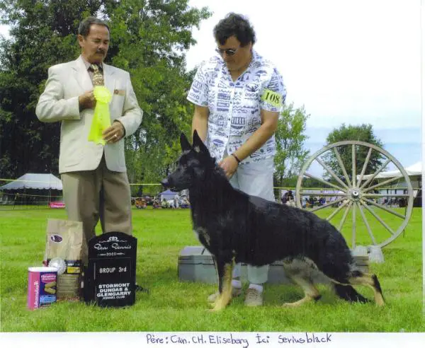 Eliseberg Ici Seriusblack