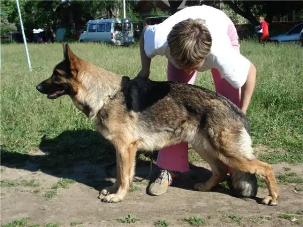 Hitrica so Slavjanskoy Dushoy