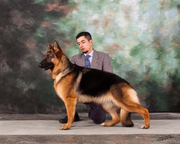 SG Zarina Dell' Isola Dei Baroni