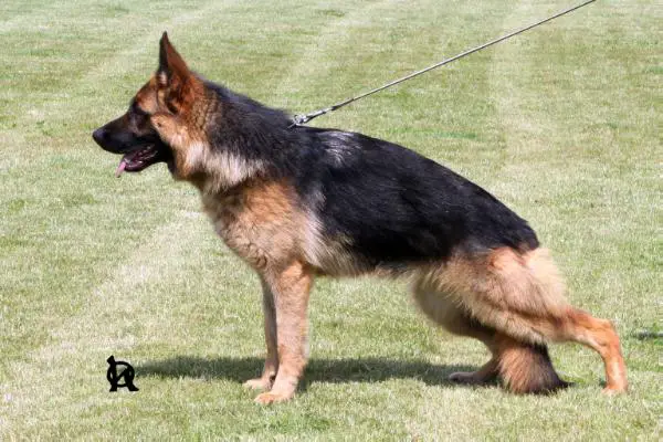 VD 1-VÍT.TřMLADÝCH Bára DANBERO