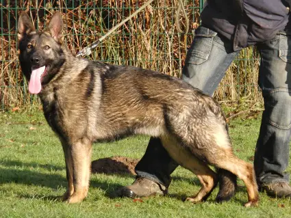 V Emma vom Röhnsaler Bach