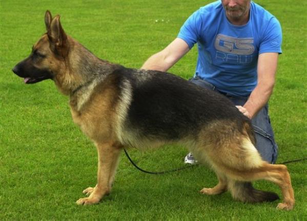 Unsa Von Der Zenteiche