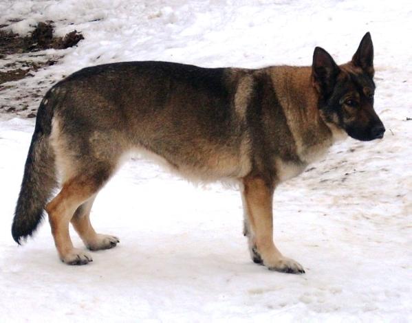 UNA VON DER HOLLENBURG