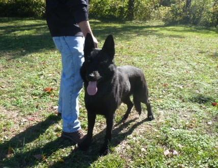 V Jupy von der Wolfsquelle