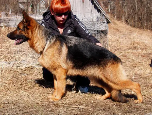 Zilber Wasserfall Loreall